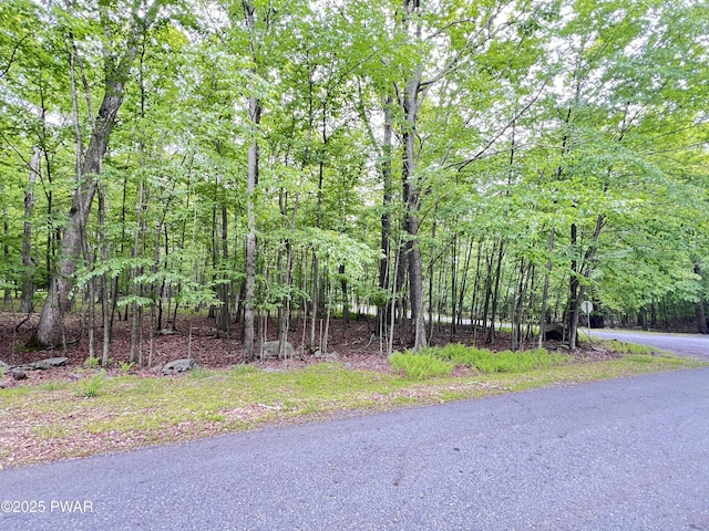 147 Ledgeway Dr, Dingmans Ferry, PA 18328