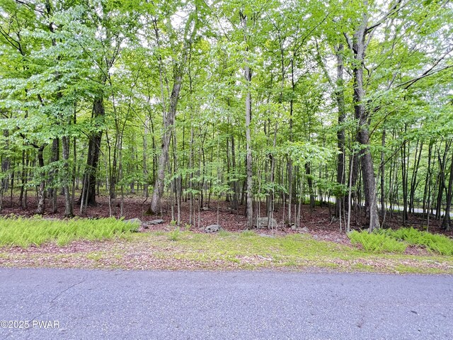 147 Ledgeway Dr, Dingmans Ferry, PA 18328