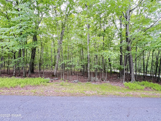 147 Ledgeway Dr, Dingmans Ferry, PA 18328