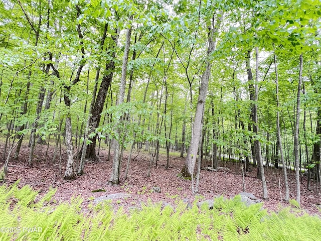 147 Ledgeway Dr, Dingmans Ferry, PA 18328