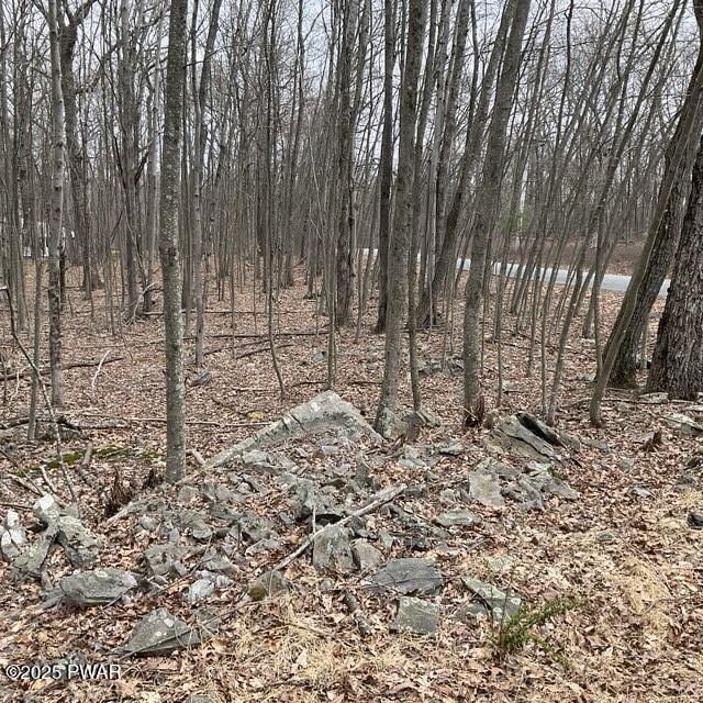 147 Ledgeway Dr, Dingmans Ferry, PA 18328