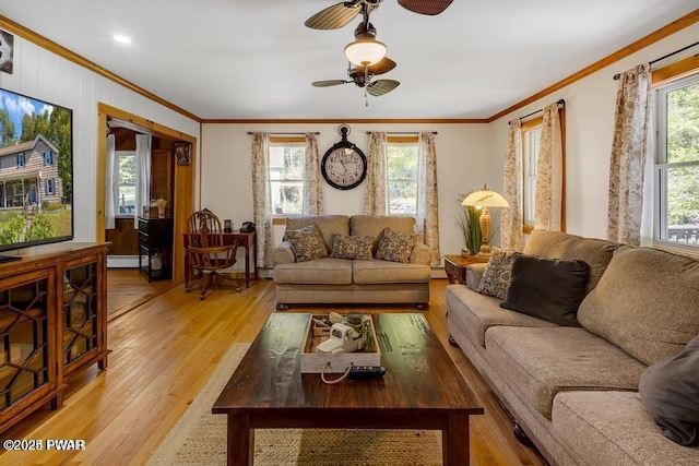 living room featuring crown molding, light hardwood / wood-style floors, and a baseboard radiator