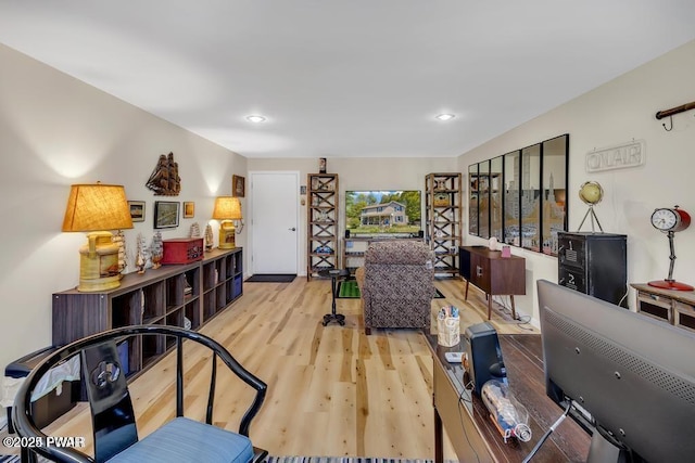 living room featuring light hardwood / wood-style flooring