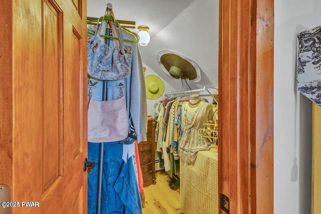 bathroom with hardwood / wood-style floors