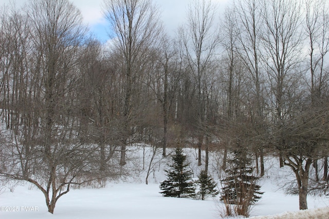 view of snow covered land