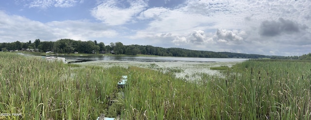 property view of water