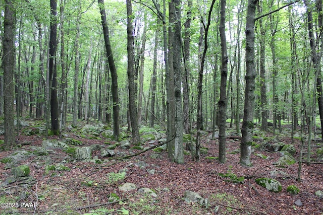 LOT1906 Horizon Dr, Greentown, PA 18426 - photo 6