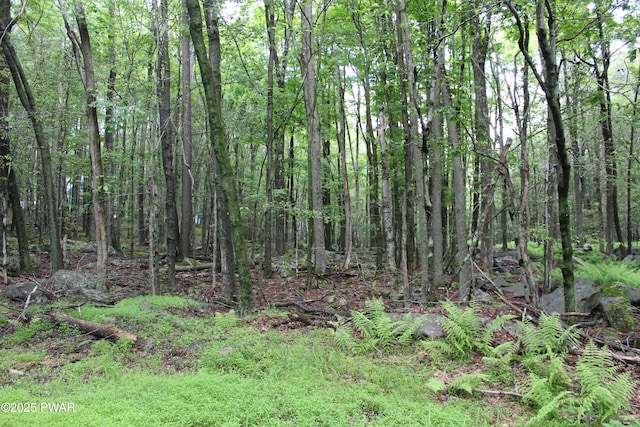 LOT1906 Horizon Dr, Greentown, PA 18426 - photo 5