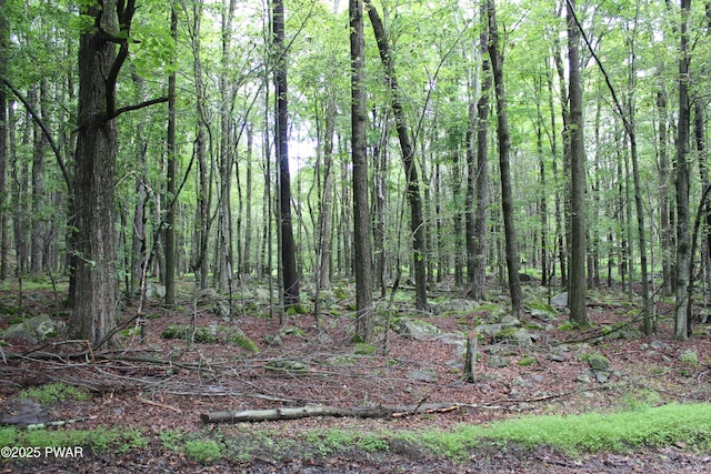 LOT1906 Horizon Dr, Greentown, PA 18426 - photo 2
