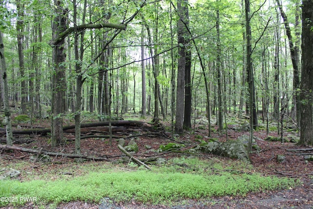 LOT1906 Horizon Dr, Greentown, PA 18426 - photo 1
