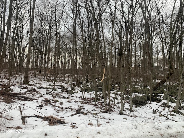 Listing photo 2 for LOT16 Cedar Ridge Ln, Hawley PA 18428