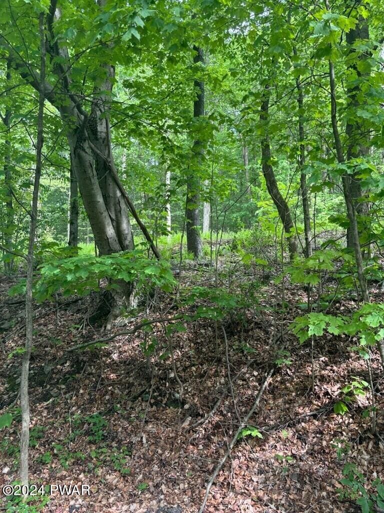 LOT8 Mill Creek Rd, Newfoundland, PA 18445
