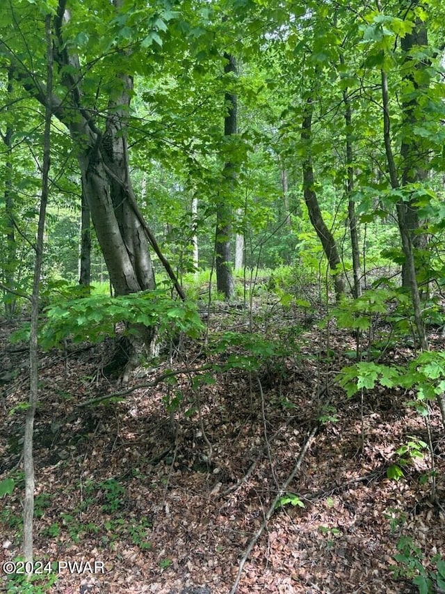 LOT8 Mill Creek Rd, Newfoundland, PA 18445