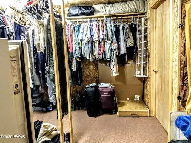 130 Willow Dr, Lords Valley, PA 18428 - walk in closet featuring carpet flooring