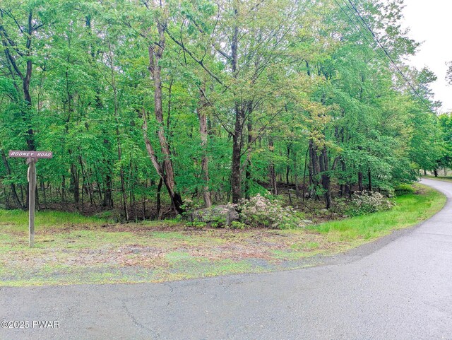 102 Rodney Rd, Milford, PA 18337 - photo 6
