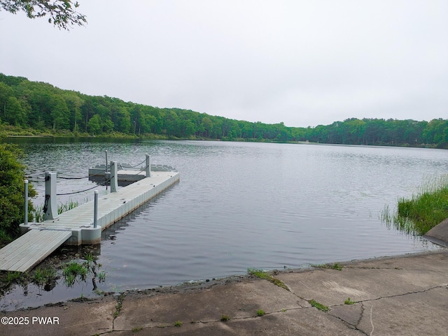 102 Rodney Rd, Milford, PA 18337 - photo 7