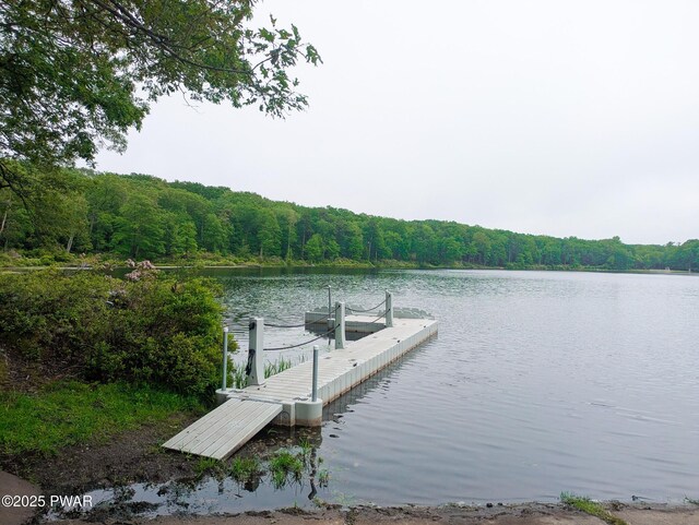 102 Rodney Rd, Milford, PA 18337 - photo 8