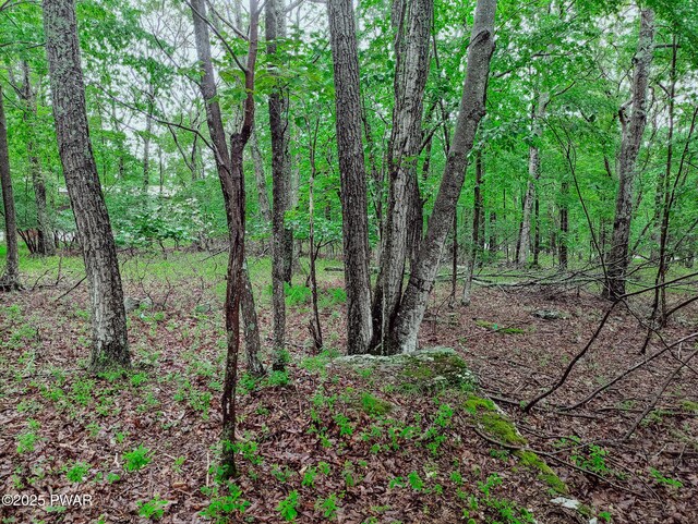 102 Rodney Rd, Milford, PA 18337 - photo 3