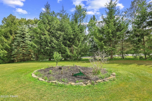 1860 Ravnikar Rd, Forest City, PA 18421 - photo 61