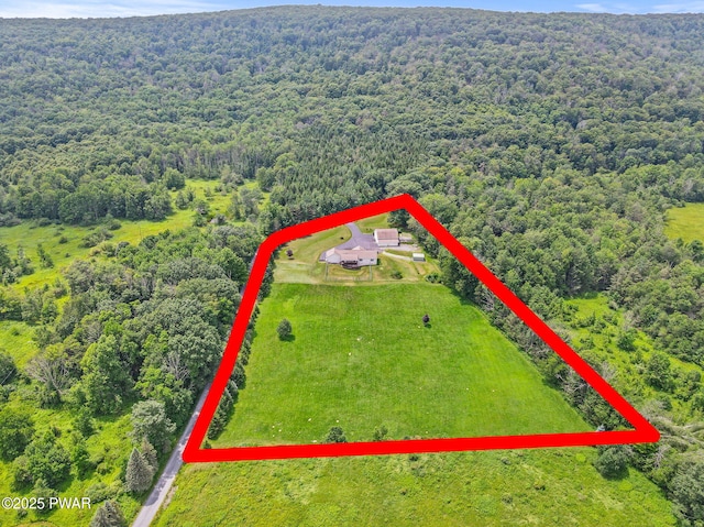 1860 Ravnikar Rd, Forest City, PA 18421 - photo 68