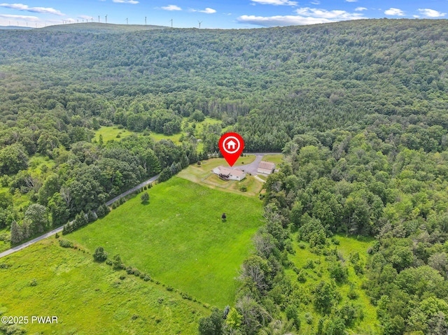 1860 Ravnikar Rd, Forest City, PA 18421 - photo 69