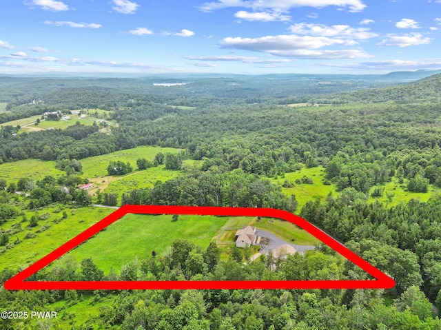 1860 Ravnikar Rd, Forest City, PA 18421 - photo 70