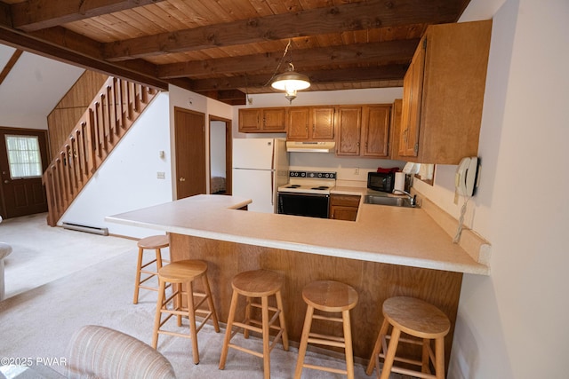 16 Par Ct, Lake Ariel, PA 18436 - kitchen with white appliances, under cabinet range hood, a sink, light countertops, and a baseboard heating unit