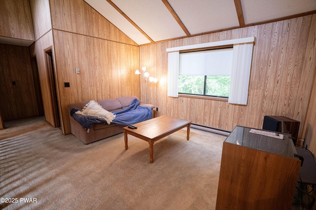 16 Par Ct, Lake Ariel, PA 18436 - living area with carpet, a baseboard heating unit, lofted ceiling, and wood walls