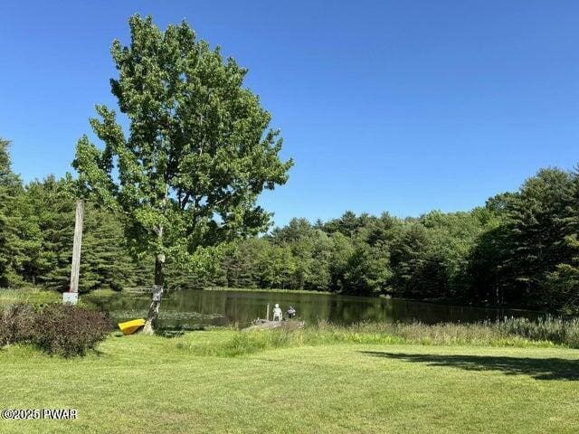 view of yard with a water view