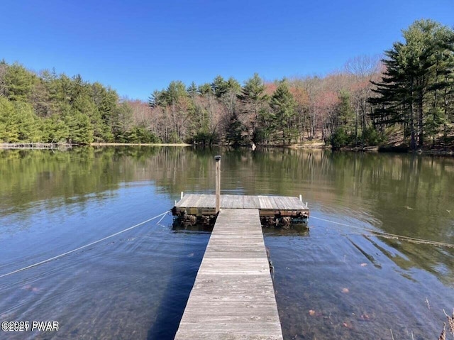 view of dock with a water view