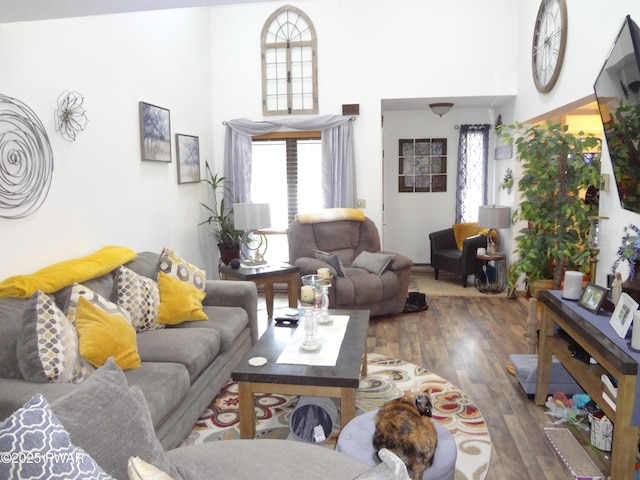 living room with dark hardwood / wood-style floors and a high ceiling