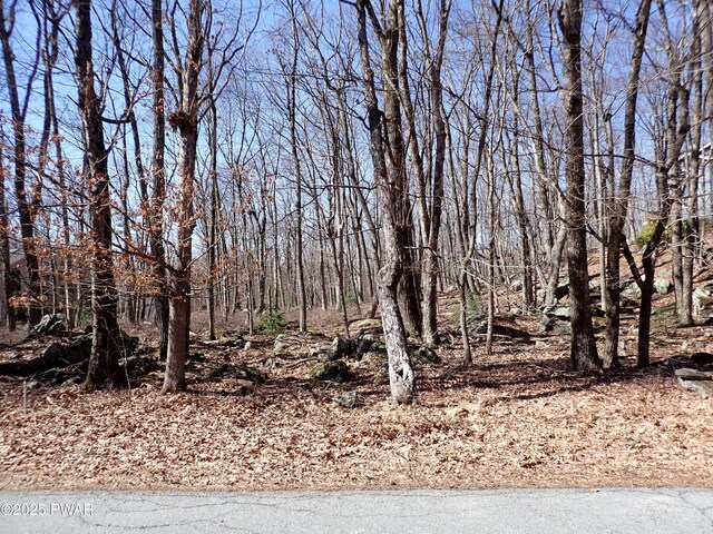 104 Mustang Dr, Lords Valley, PA 18428 - photo 1