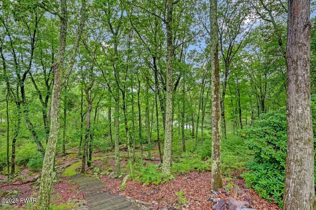 116 Broadmoor Dr, Hawley, PA 18428 - photo 83