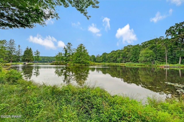 116 Broadmoor Dr, Hawley, PA 18428 - photo 85