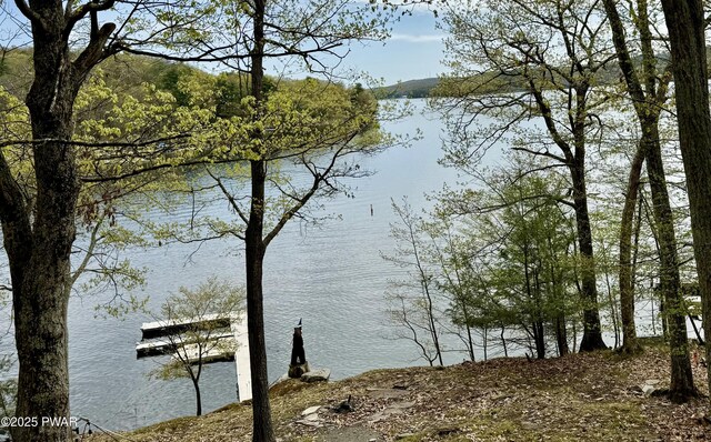 84 Lakeview Dr, Lakeville, PA 18438 - photo 37