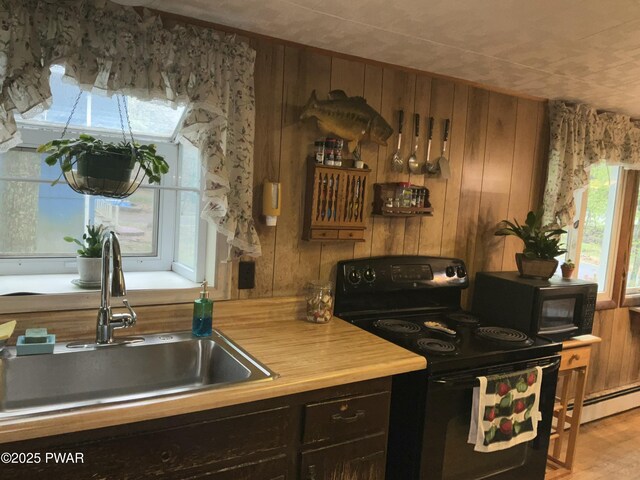 124 Roundhill Rd, Dingmans Ferry, PA 18328 - kitchen with black range with electric cooktop, a sink, wood walls, a baseboard heating unit, and wood finished floors