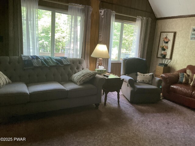 124 Roundhill Rd, Dingmans Ferry, PA 18328 - carpeted living area with vaulted ceiling