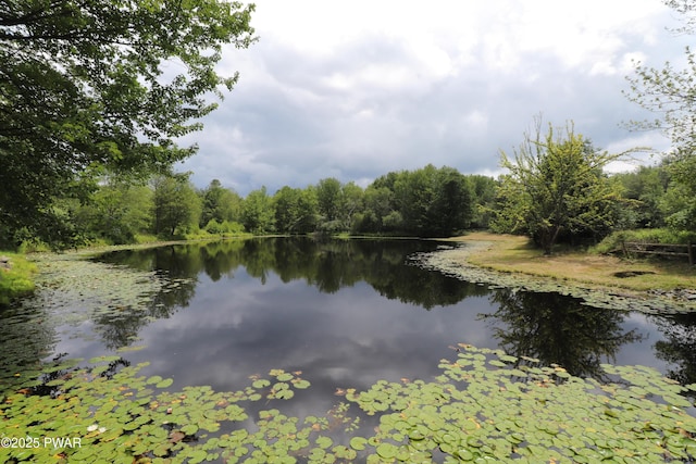 44 Purdytown Tpke, Lake Ariel, PA 18436 - water view with a heavily wooded area