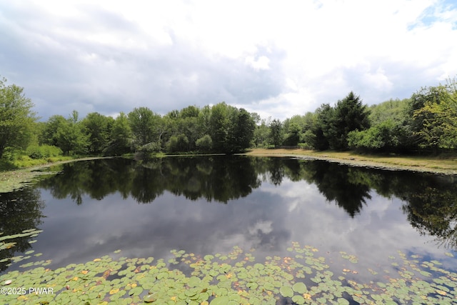44 Purdytown Tpke, Lake Ariel, PA 18436 - water view with a forest