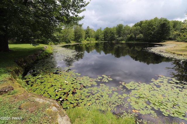 44 Purdytown Tpke, Lake Ariel, PA 18436 - water view with a heavily wooded area