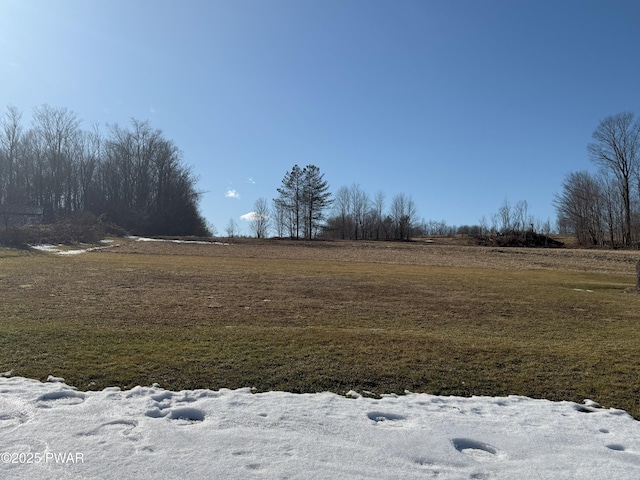 view of yard featuring a rural view