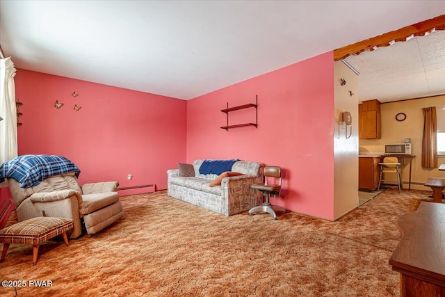 living room with a baseboard radiator and light carpet