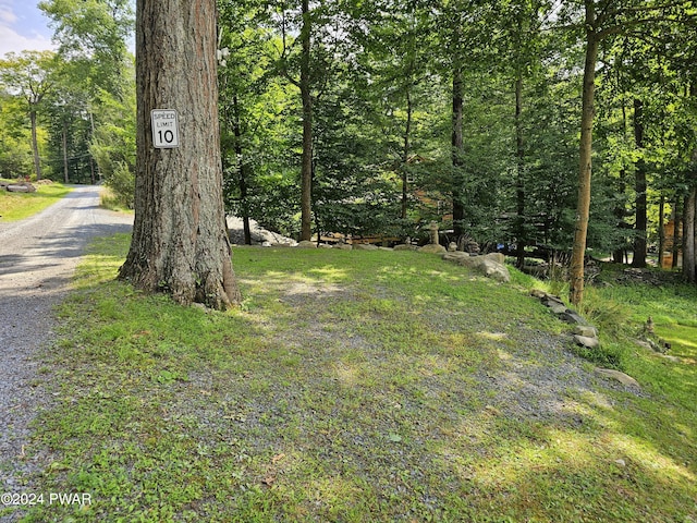 112 Beechwood Cove Rd, Greentown, PA 18426 - photo 51