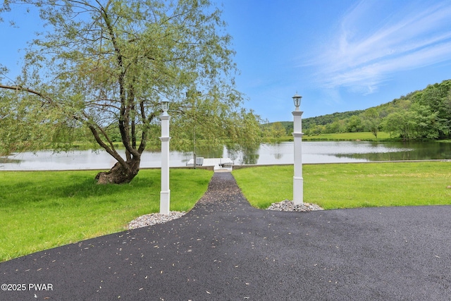 540 Pleasant Mount Dr, Forest City, PA 18421 - photo 8