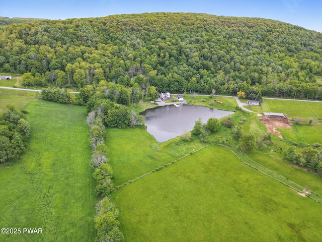 540 Pleasant Mount Dr, Forest City, PA 18421 - photo 7