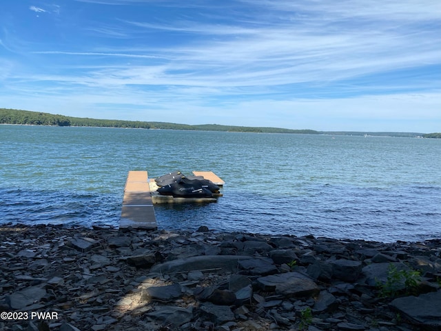 water view featuring a boat dock