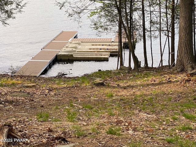 dock area with a water view