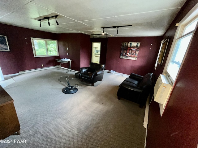 living room with baseboard heating and track lighting