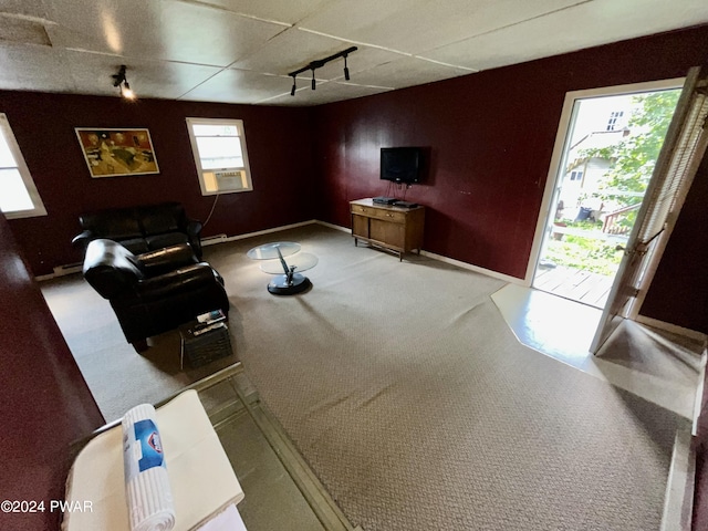 carpeted living room with track lighting