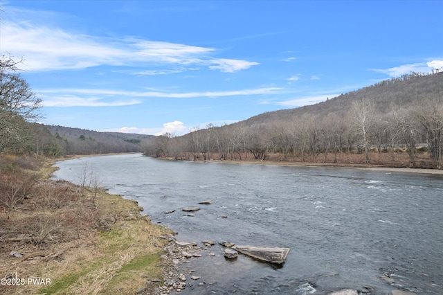 111 Riverbend Ln, Beach Lake, PA 18405 - view of water feature featuring a wooded view and a mountain view